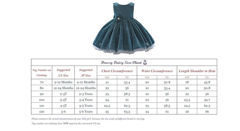 Dressy Daisy Baby Girls' Special Occasion Dresses Wedding Flower, 12-24 months