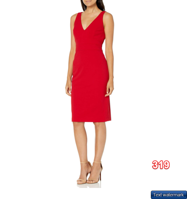Donna Ricco Women's Sleeveless Crepe Shift with Corset Laces in Cherry SIZE 4