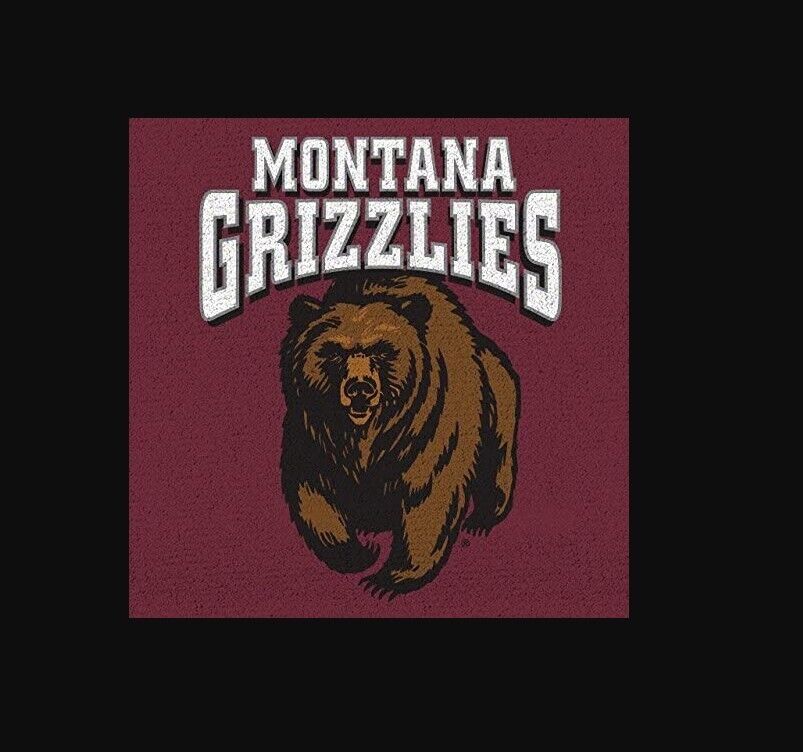 Coverking Compatible for Universal Seat Vest Designer 1Pc  University of Montana