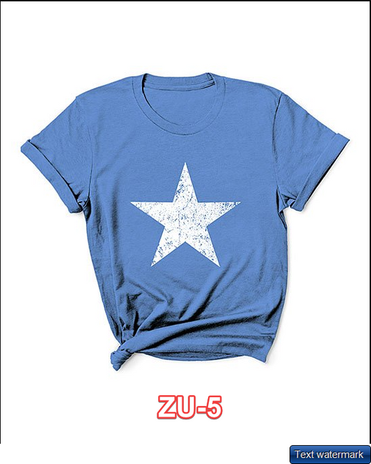 CherryLoom Heather Blue Weathered Star Oversize Tee Medium