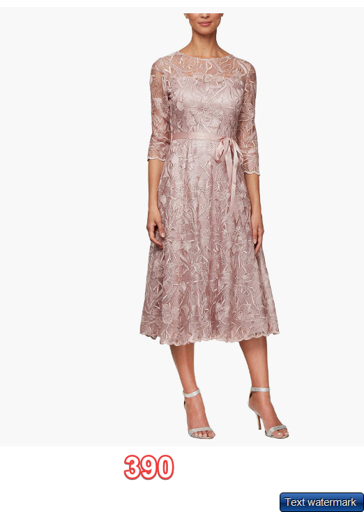 Alex Evenings Women's Tea Length Embroidered Dress Illusion Sleeves Rose 12P