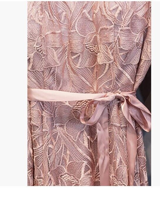 Alex Evenings Women's Tea Length Embroidered Dress Illusion Sleeves Rose 12P