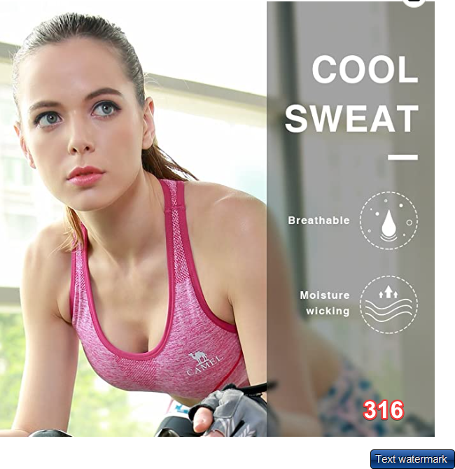 Camel Sports Bra Inner Women's Yoga Wear Dance Fitness Gym Quick Dry Stretch S