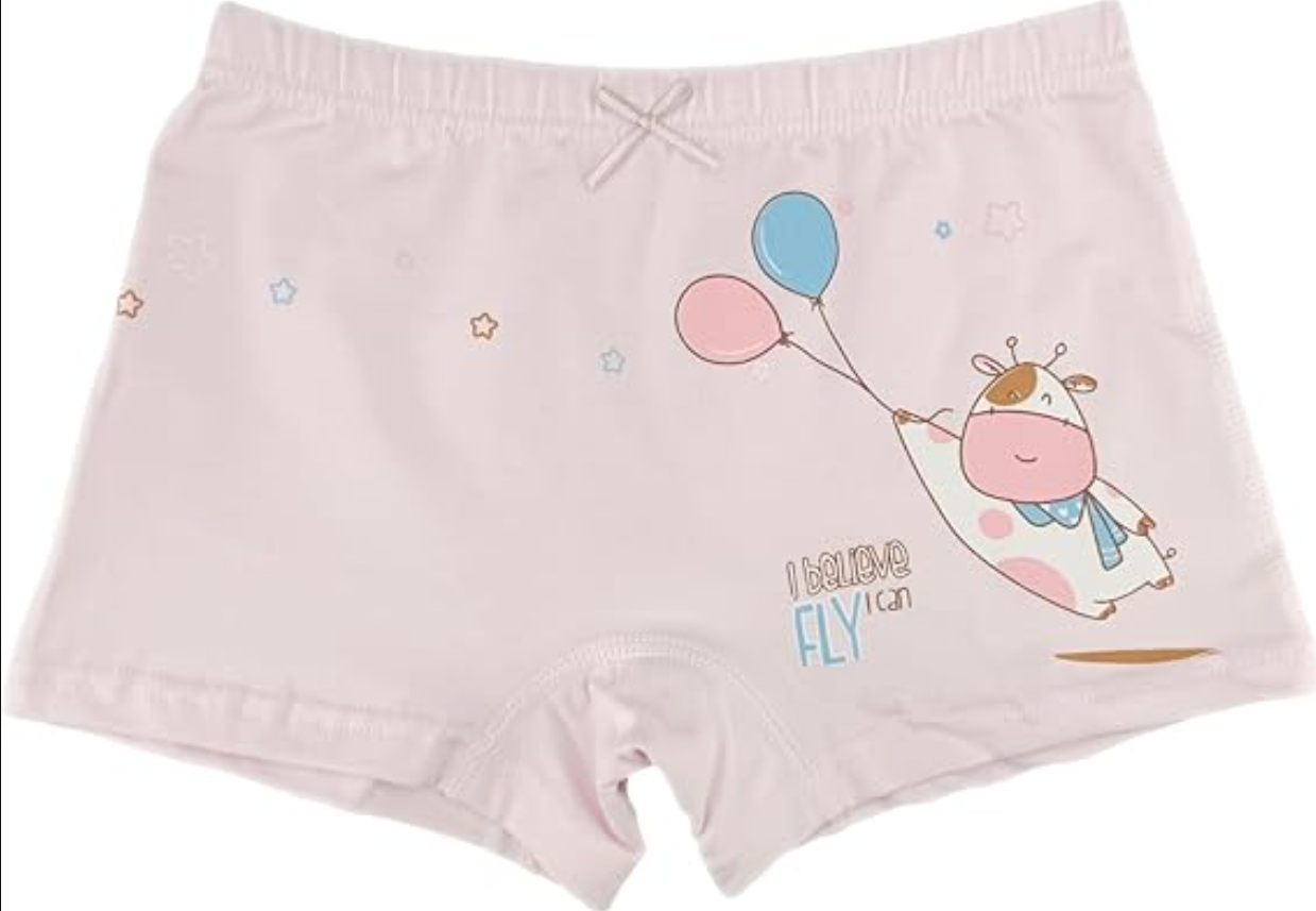 SYDMXWZ Big Girls Cotton Boy Shorts Toddler Panties Cute Panda Underwear 9-10 Yr