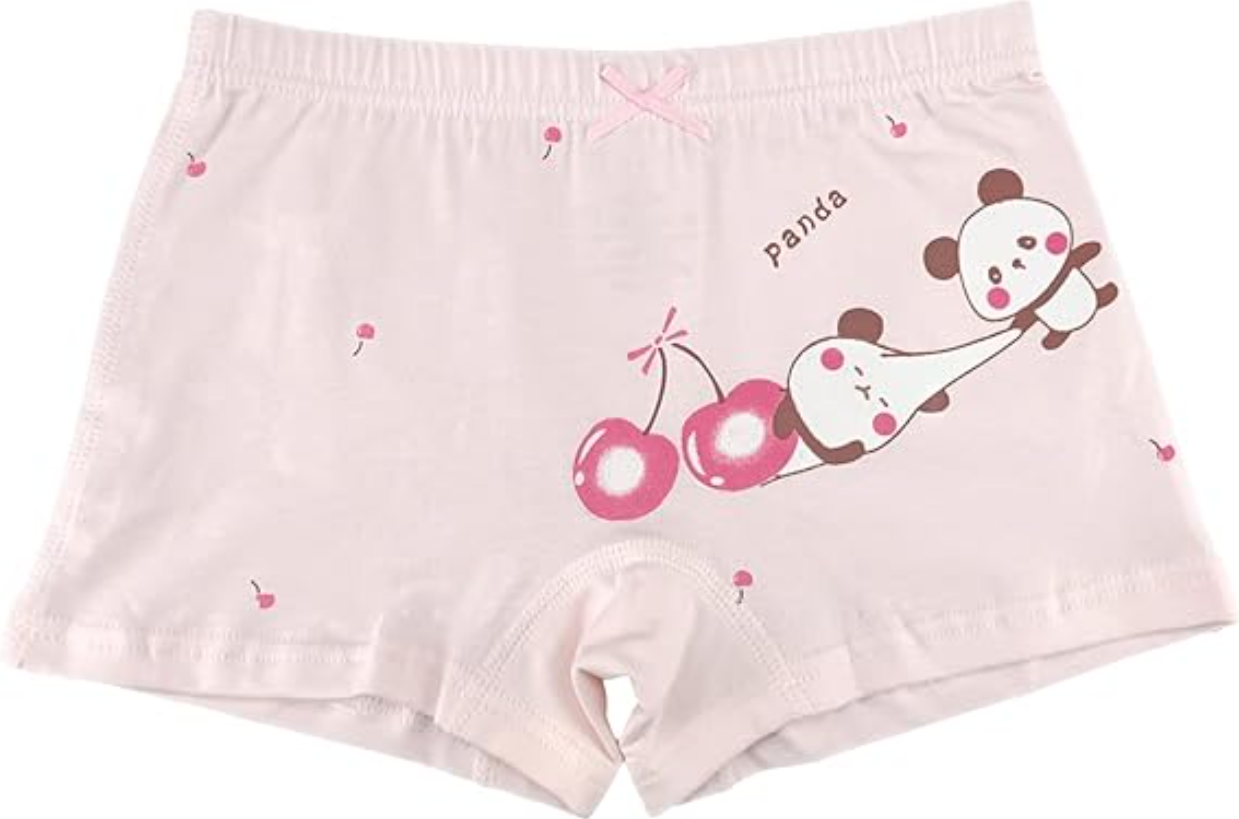 SYDMXWZ Big Girls Cotton Boy Shorts Toddler Panties Cute Panda Underwear 9-10 Yr