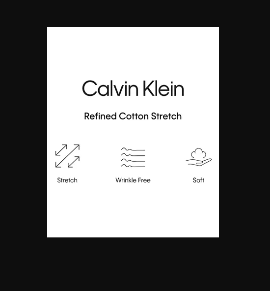Calvin Klein Men's Steel + Dress Shirts Non Iron Stretch Reg Fit Print, Amethyst